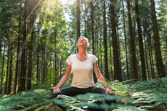 What is Forest Bathing